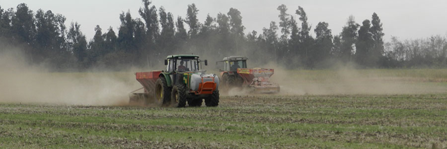 Servicios Integrales