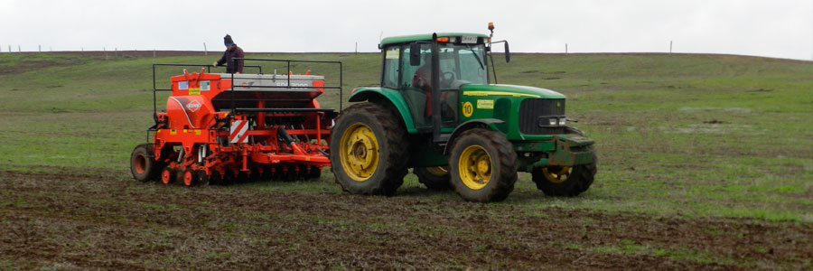 Siembra cero labranza